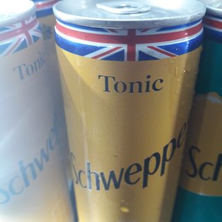 Shwepps tonic 25cl