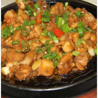 Sizzling Squid