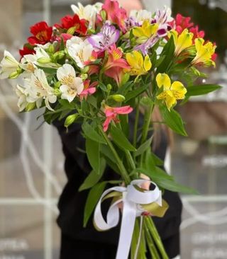 11 альстромерий