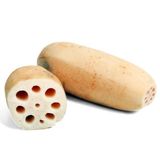 Raiz De Loto Bolsa 600g+-