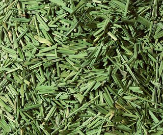 Ceai plante Lemon -grass