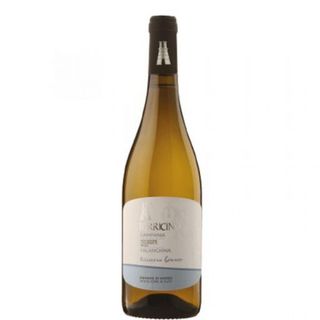 FALANGHINA - TORRICINO