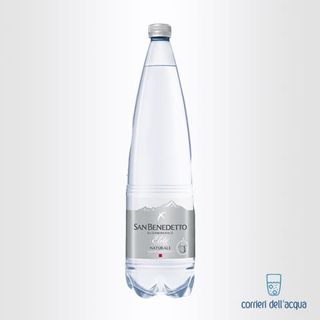 Acqua naturale 1l