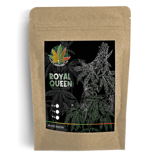 Royal Queen - White Widow 10g