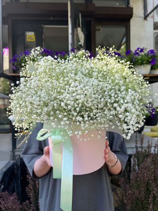 Коробочка з гіпсофіли розміру М