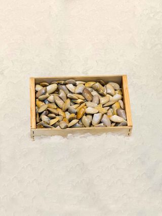 Tallarina Francia (250 Gr.)