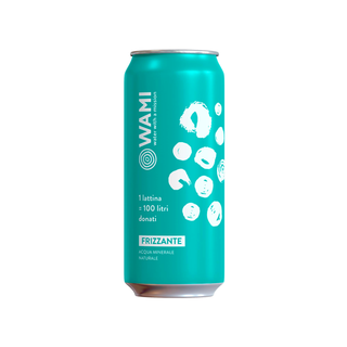 Wami acqua frizzante 50 cl