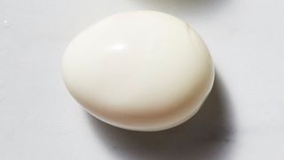 Egg
