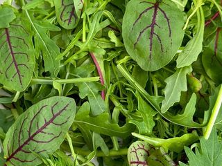 Мікс салат (15g)