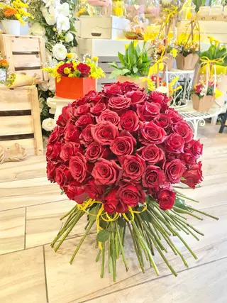 Bouquet 50 Rose Rosse