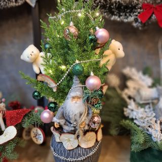 BRAD NATURAL IN GHIVECI