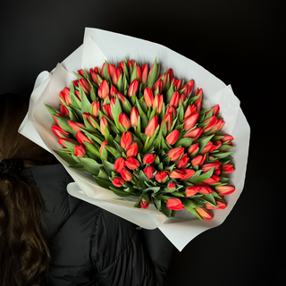 Букет зі 101 голландського  коралового тюльпану 