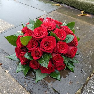 Bouquet De 21 Roses Rouges Éclatantes