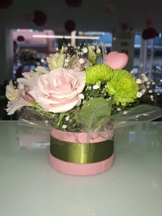 Box Ternura