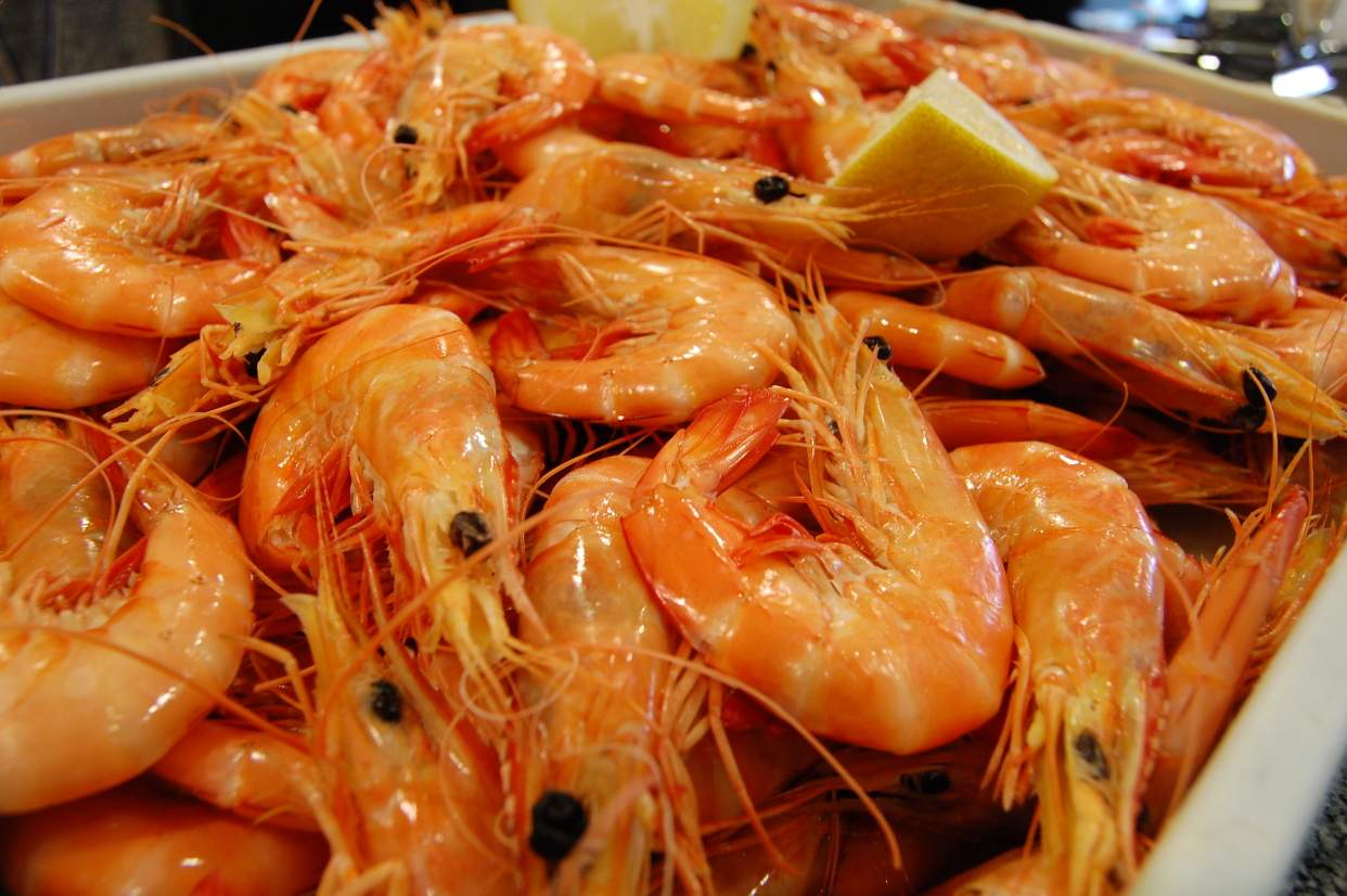 Gambas Cozidas Kilograma