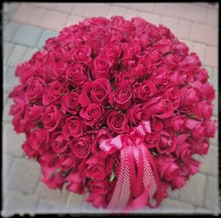 Bukiet ze 100 średnich róż 