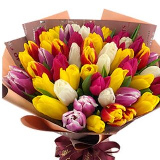 Bukiet kolorowych tulipanów