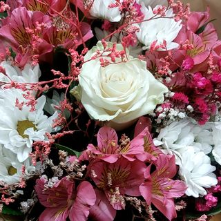 Rosa bianca astrometria un po' di bello colorato verde bellissimo bouquet