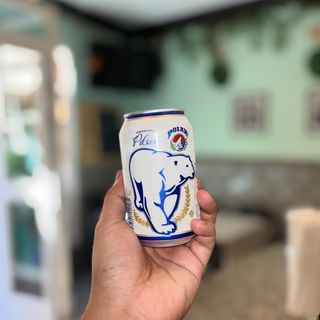 Cerveza Polar Pilsen 