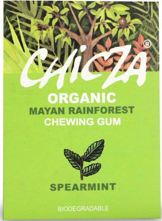 GUMA DO ŻUCIA ŁAGODNA MIĘTA BIO 30 g - CHICZA