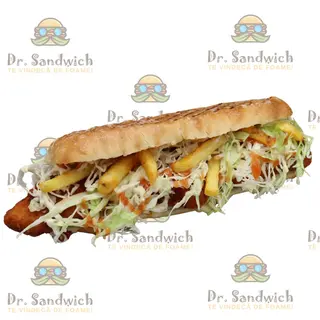 Dr.  Snitzel