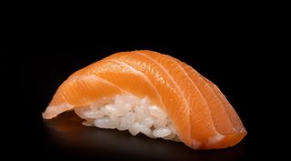 -261-samon Nigiri#2pz