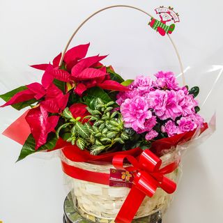 Cesta con pascuero rojo