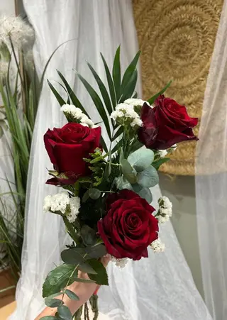 3 Rosas