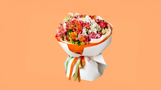 სიხარულის პალიტრა