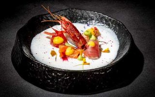 179. Carpaccio yogurt - 5 pezzi