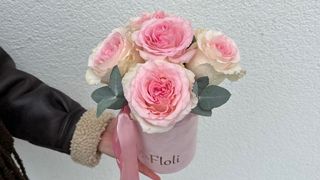 Flowerbox Różowa Róża - 5 szt