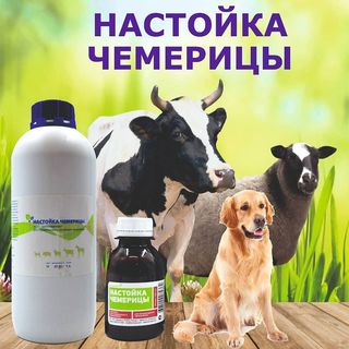 Настойка Чемерицы