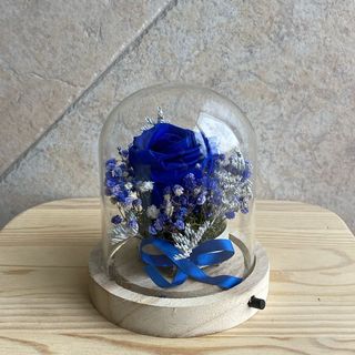 Redoma flores preservadas 