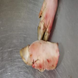 Manitas De Cerdo (1 Kg.)