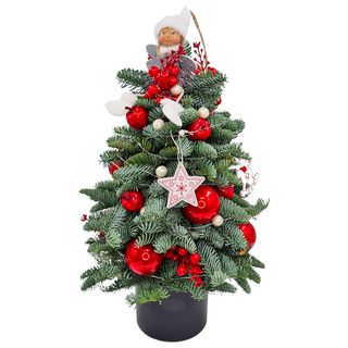 Constructie din brad argintiu pe burete 