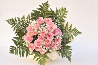 24 Rosas Rosas