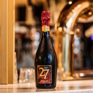 Lambrusco Giuseppe Verdi Rosso IGT