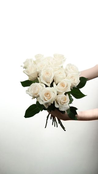 Róże ekwadorskie kremowe 11 szt.