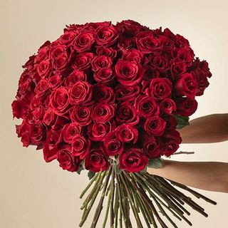 ramo de 50 rosas rojas premium