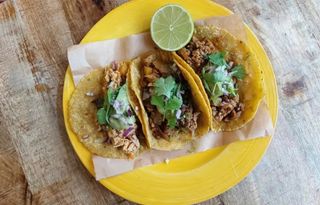 Tacos de Pollo