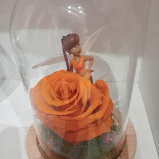 Cúpula mini hada de los animales 