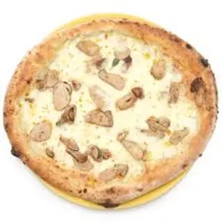 Funghi porcini