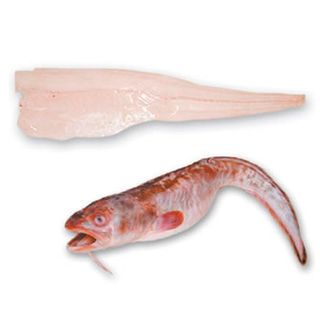 Calamar romana clasic