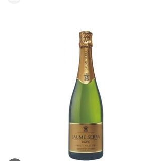 Bot. Cava Jaume Serra Brut Nature 