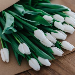 თეთრი ტიტა (20 ცალი)