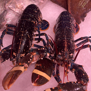 Bogavante Azul País (500-600gr)