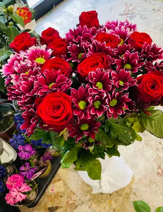 Red romance