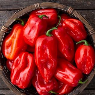Salsa Picante Habanera (habanero ketchup 30ml)
