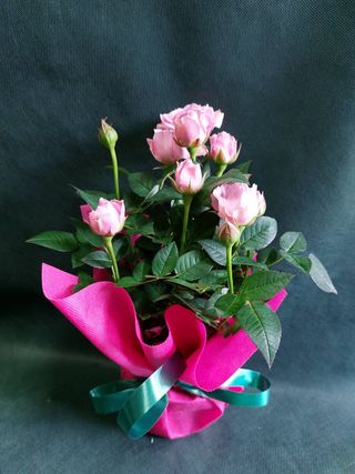 Мини роза (1бр)