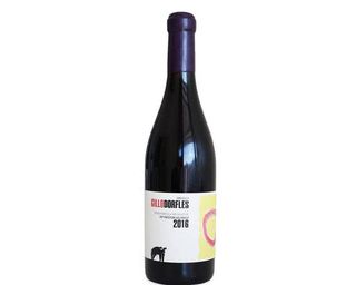 Aglianico Omaggio a Gillo Dorfles